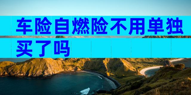 车险自燃险不用单独买了吗