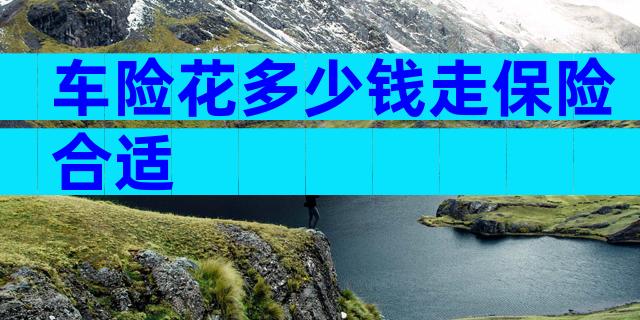车险花多少钱走保险合适