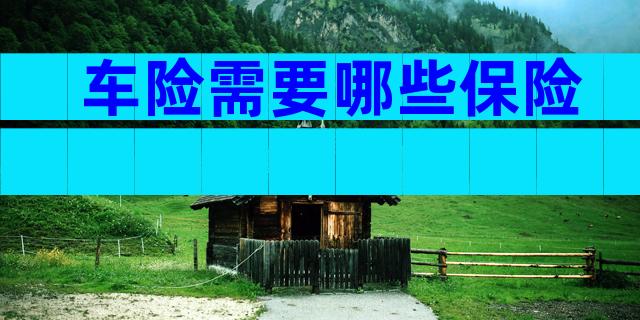 车险需要哪些保险