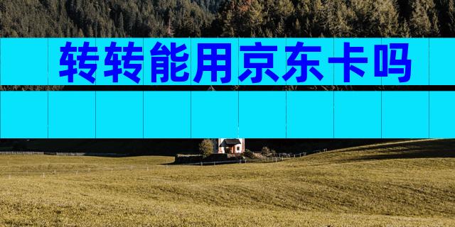 转转能用京东卡吗