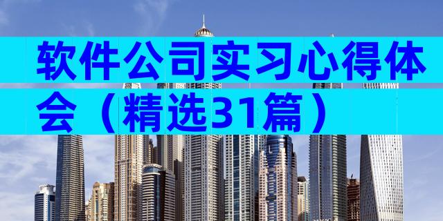 软件公司实习心得体会（精选31篇）