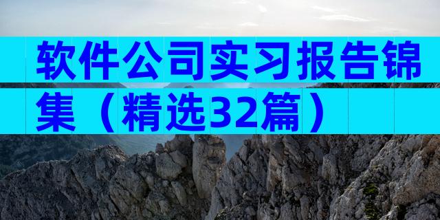 软件公司实习报告锦集（精选32篇）
