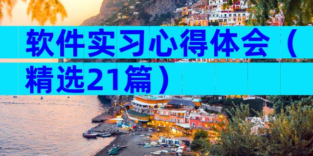 软件实习心得体会（精选21篇）