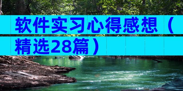 软件实习心得感想（精选28篇）