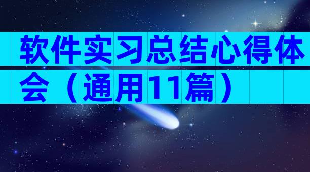 软件实习总结心得体会（通用11篇）