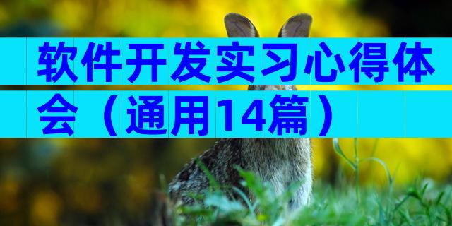 软件开发实习心得体会（通用14篇）