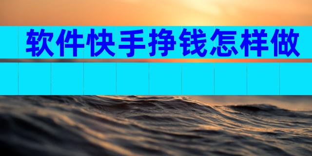 软件快手挣钱怎样做