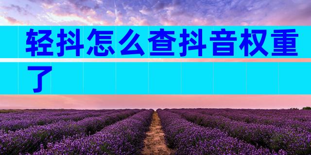 轻抖怎么查抖音权重了