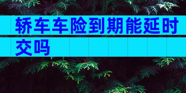 轿车车险到期能延时交吗