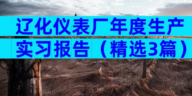 辽化仪表厂年度生产实习报告（精选3篇）