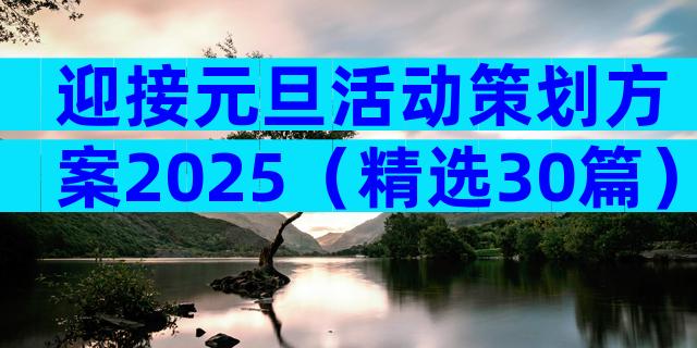 迎接元旦活动策划方案2025（精选30篇）
