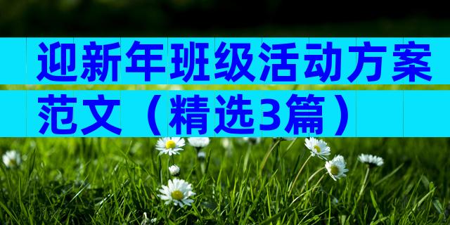 迎新年班级活动方案范文（精选3篇）