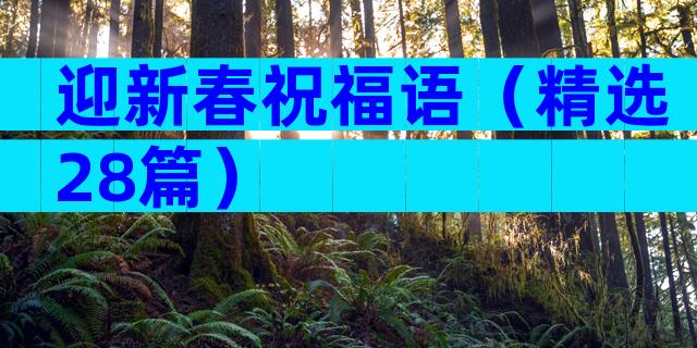 迎新春祝福语（精选28篇）