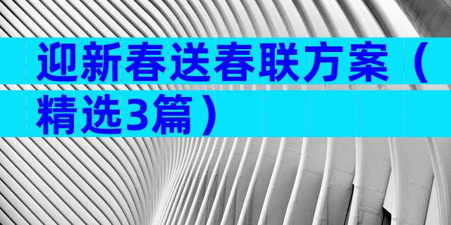 迎新春送春联方案（精选3篇）