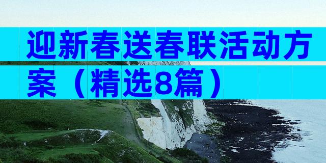 迎新春送春联活动方案（精选8篇）