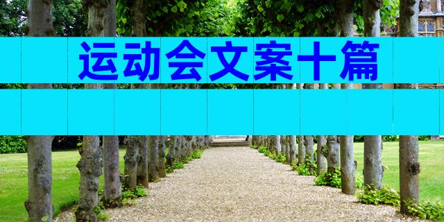 运动会文案十篇