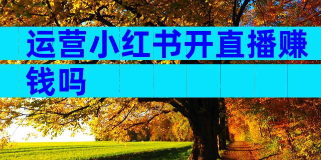 运营小红书开直播赚钱吗