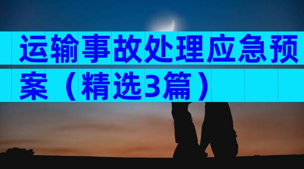 运输事故处理应急预案（精选3篇）