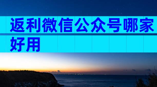返利微信公众号哪家好用
