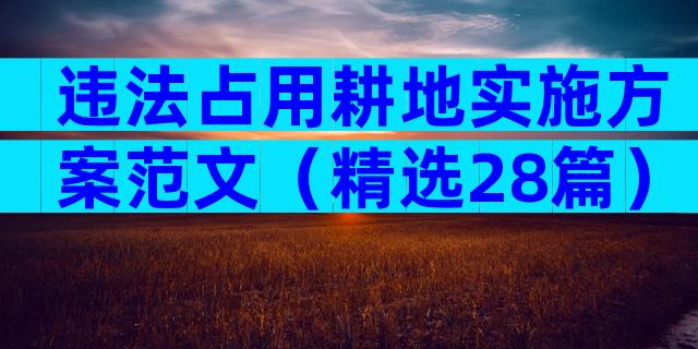 违法占用耕地实施方案范文（精选28篇）