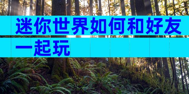 迷你世界如何和好友一起玩