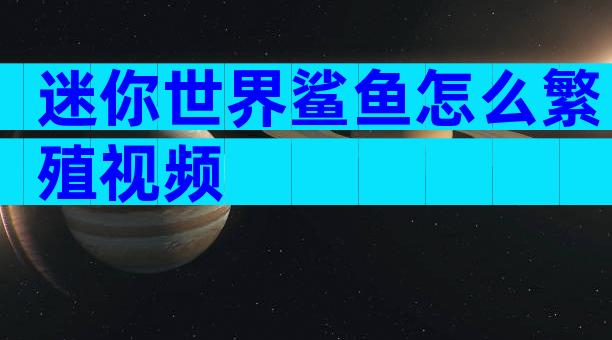 迷你世界鲨鱼怎么繁殖视频