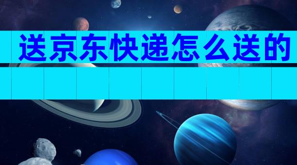 送京东快递怎么送的