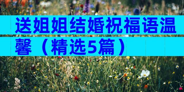送姐姐结婚祝福语温馨（精选5篇）
