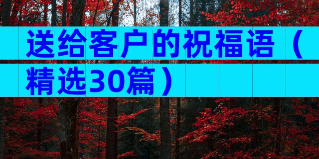 送给客户的祝福语（精选30篇）