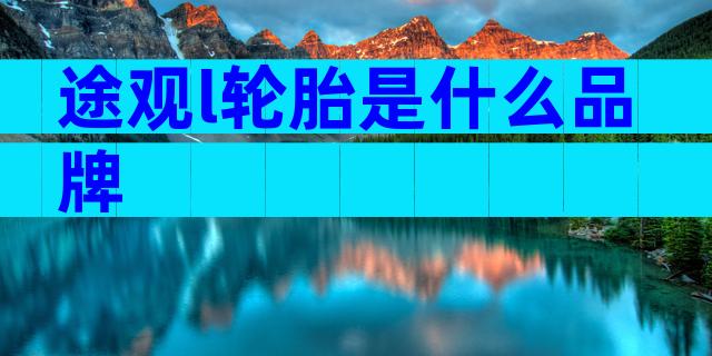 途观l轮胎是什么品牌