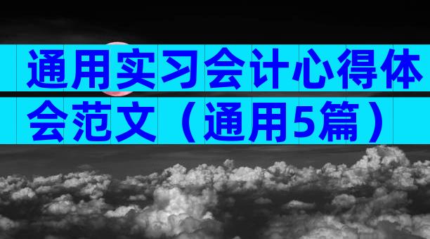 通用实习会计心得体会范文（通用5篇）