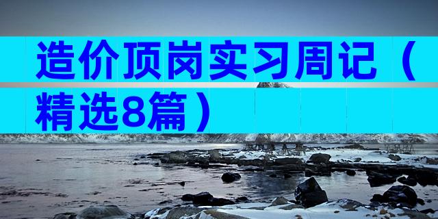 造价顶岗实习周记（精选8篇）