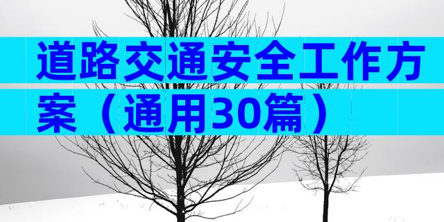 道路交通安全工作方案（通用30篇）