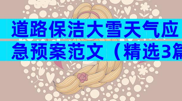 道路保洁大雪天气应急预案范文（精选3篇）
