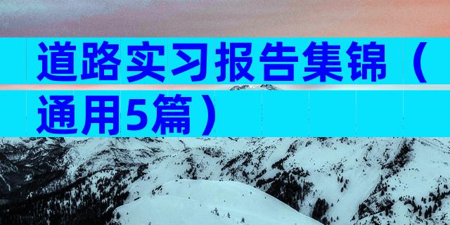 道路实习报告集锦（通用5篇）