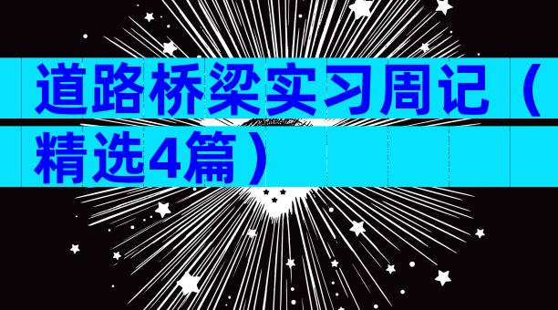 道路桥梁实习周记（精选4篇）