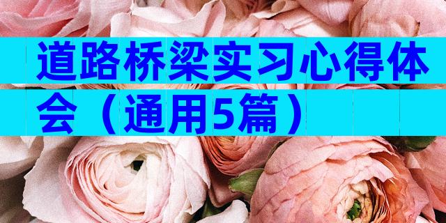 道路桥梁实习心得体会（通用5篇）