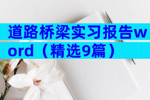 道路桥梁实习报告word（精选9篇）