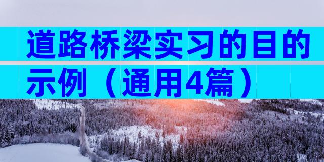 道路桥梁实习的目的示例（通用4篇）