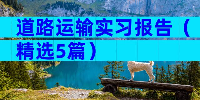 道路运输实习报告（精选5篇）