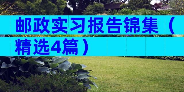 邮政实习报告锦集（精选4篇）