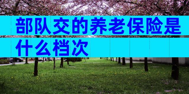 部队交的养老保险是什么档次