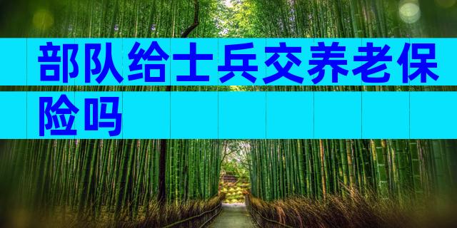 部队给士兵交养老保险吗
