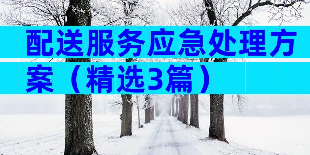 配送服务应急处理方案（精选3篇）