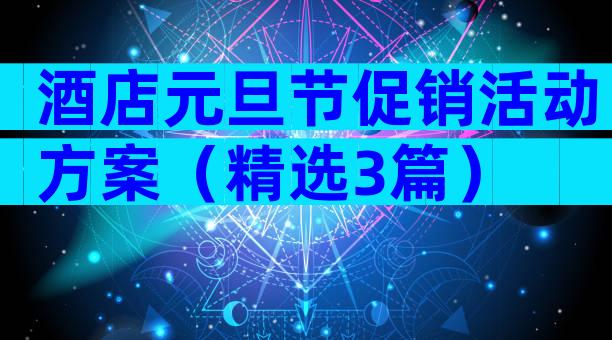 酒店元旦节促销活动方案（精选3篇）