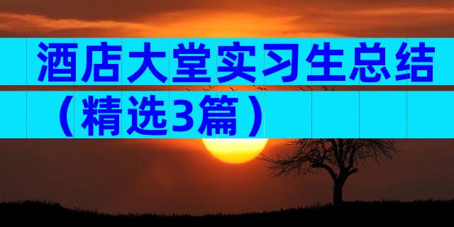 酒店大堂实习生总结（精选3篇）