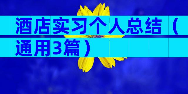 酒店实习个人总结（通用3篇）