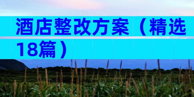 酒店整改方案（精选18篇）