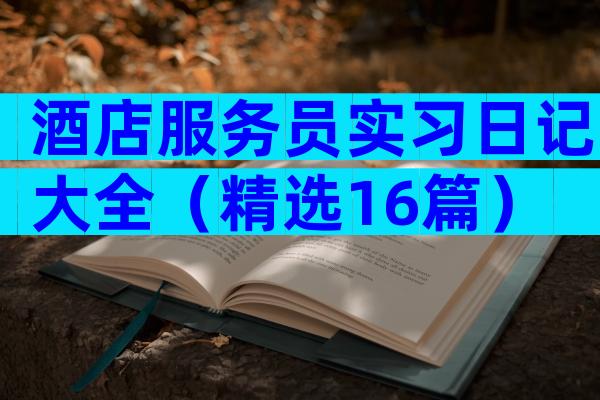 酒店服务员实习日记大全（精选16篇）