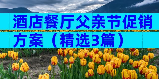 酒店餐厅父亲节促销方案（精选3篇）